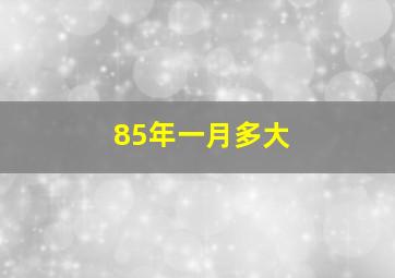 85年一月多大