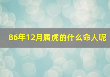 86年12月属虎的什么命人呢