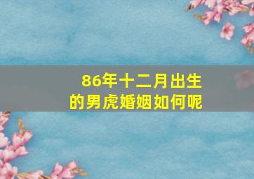 86年十二月出生的男虎婚姻如何呢