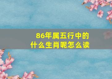 86年属五行中的什么生肖呢怎么读