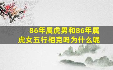 86年属虎男和86年属虎女五行相克吗为什么呢