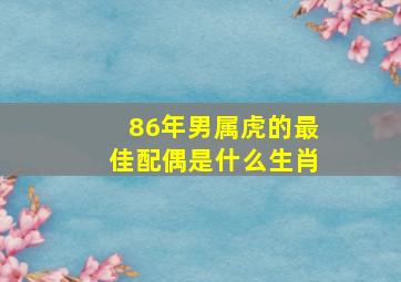 86年男属虎的最佳配偶是什么生肖