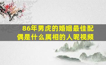 86年男虎的婚姻最佳配偶是什么属相的人呢视频