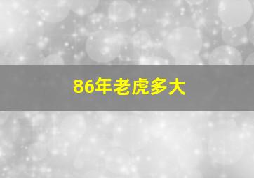 86年老虎多大