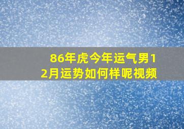 86年虎今年运气男12月运势如何样呢视频