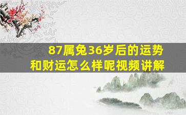 87属兔36岁后的运势和财运怎么样呢视频讲解