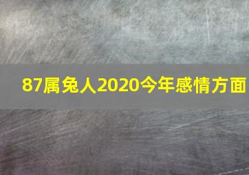 87属兔人2020今年感情方面