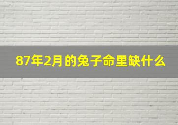 87年2月的兔子命里缺什么