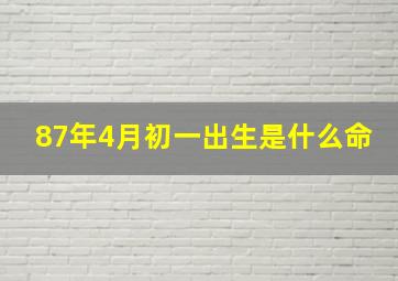 87年4月初一出生是什么命