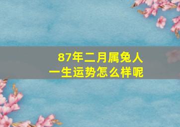 87年二月属兔人一生运势怎么样呢