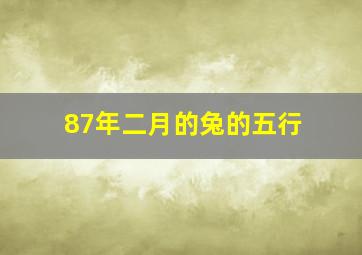 87年二月的兔的五行