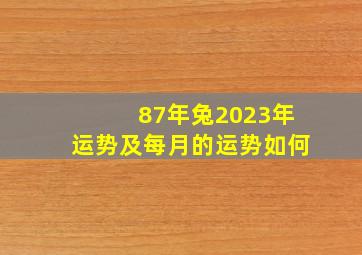 87年兔2023年运势及每月的运势如何