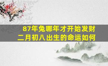 87年兔哪年才开始发财二月初八出生的命运如何