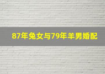 87年兔女与79年羊男婚配