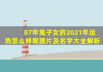 87年兔子女的2021年运势怎么样呢图片及名字大全解析