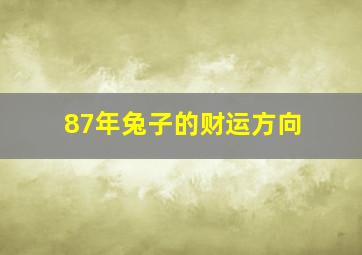 87年兔子的财运方向