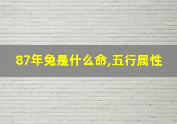 87年兔是什么命,五行属性