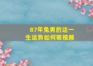 87年兔男的这一生运势如何呢视频