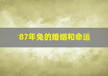 87年兔的婚姻和命运