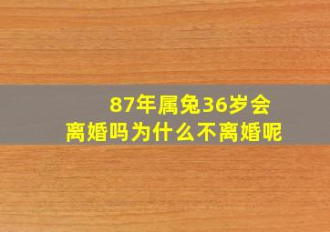 87年属兔36岁会离婚吗为什么不离婚呢