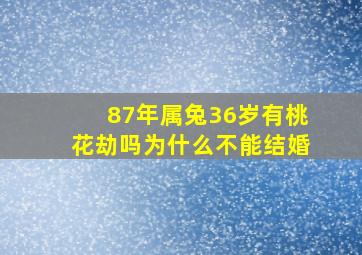 87年属兔36岁有桃花劫吗为什么不能结婚