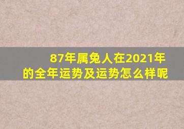 87年属兔人在2021年的全年运势及运势怎么样呢