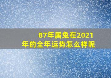 87年属兔在2021年的全年运势怎么样呢