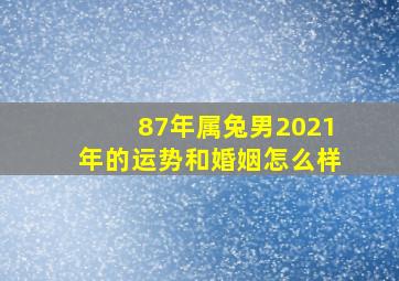 87年属兔男2021年的运势和婚姻怎么样