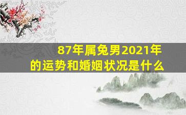 87年属兔男2021年的运势和婚姻状况是什么