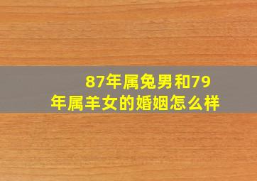 87年属兔男和79年属羊女的婚姻怎么样