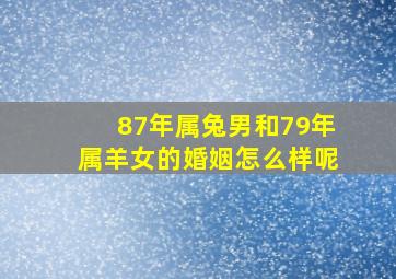 87年属兔男和79年属羊女的婚姻怎么样呢