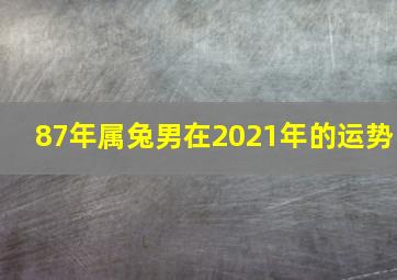 87年属兔男在2021年的运势