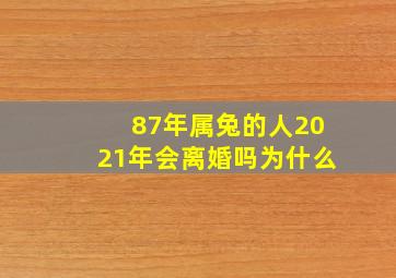 87年属兔的人2021年会离婚吗为什么