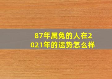 87年属兔的人在2021年的运势怎么样