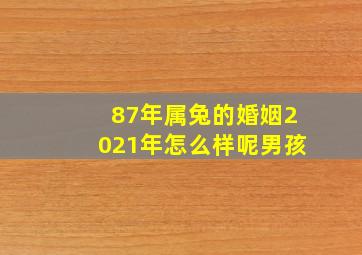 87年属兔的婚姻2021年怎么样呢男孩