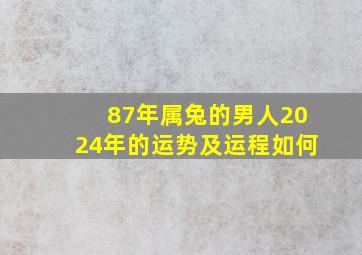 87年属兔的男人2024年的运势及运程如何