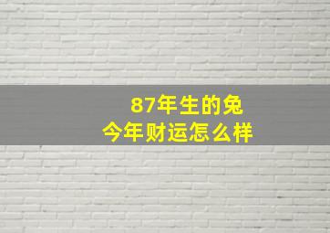 87年生的兔今年财运怎么样