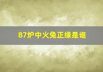 87炉中火兔正缘是谁