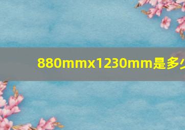 880mmx1230mm是多少寸