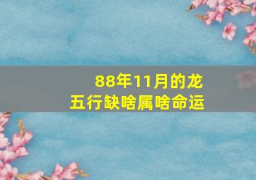 88年11月的龙五行缺啥属啥命运