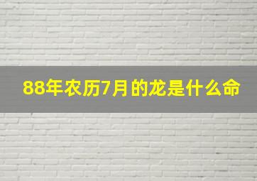 88年农历7月的龙是什么命