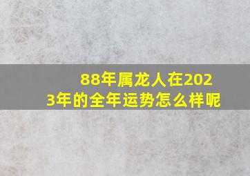 88年属龙人在2023年的全年运势怎么样呢