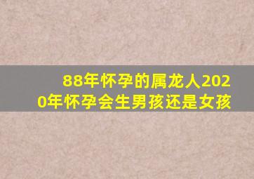 88年怀孕的属龙人2020年怀孕会生男孩还是女孩