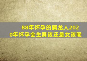 88年怀孕的属龙人2020年怀孕会生男孩还是女孩呢