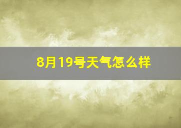 8月19号天气怎么样