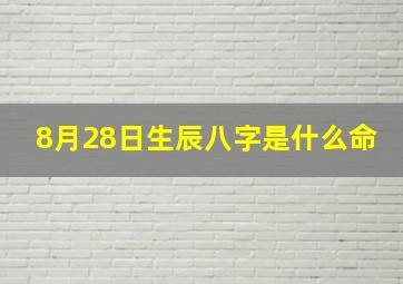 8月28日生辰八字是什么命