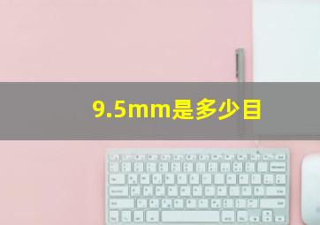 9.5mm是多少目