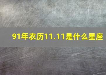 91年农历11.11是什么星座