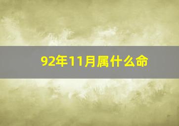 92年11月属什么命