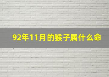 92年11月的猴子属什么命